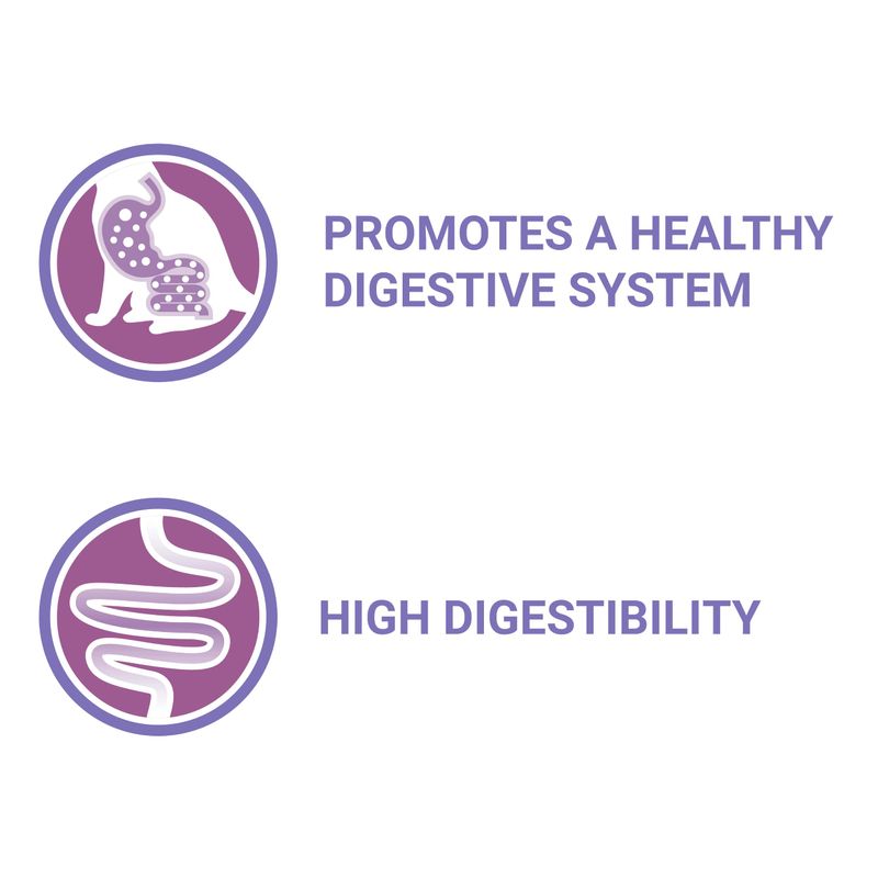 PURINA ONE Sensitive with Chicken & Carrots (13 x 85g)