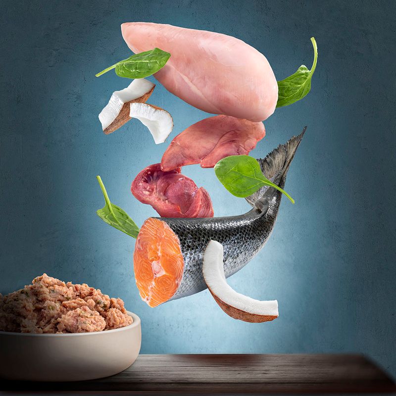 1 x 200g Purizon Adult Chicken Fillet with Salmon - Try Now!* Chicken Fillet with Salmon (200g)