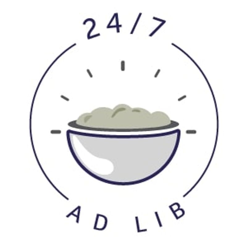 Bunny GerbilDream BASIC 600g