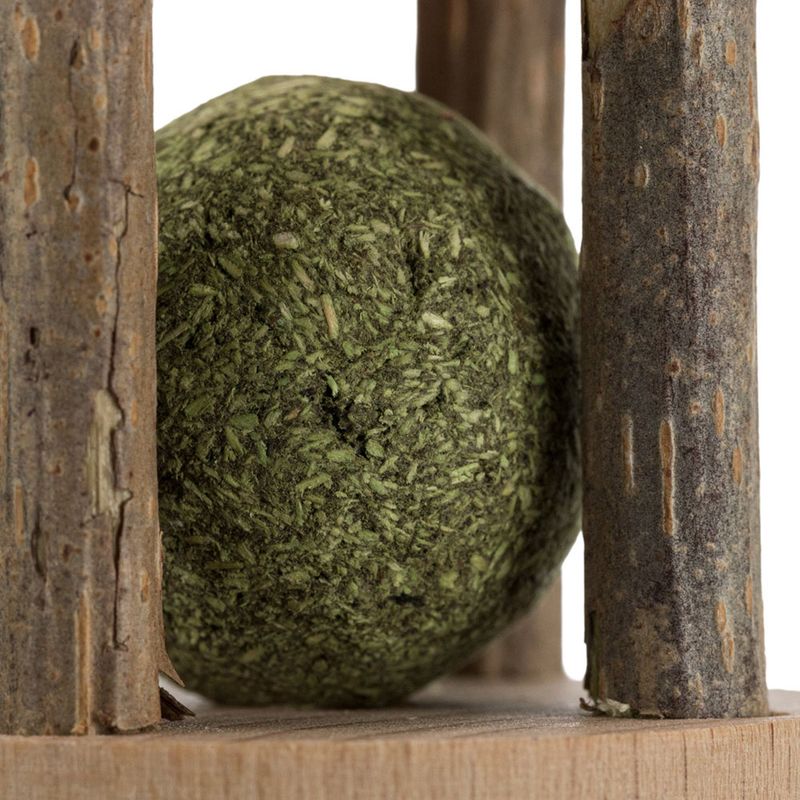 Trixie Silver Vine Puzzle 1 Toy