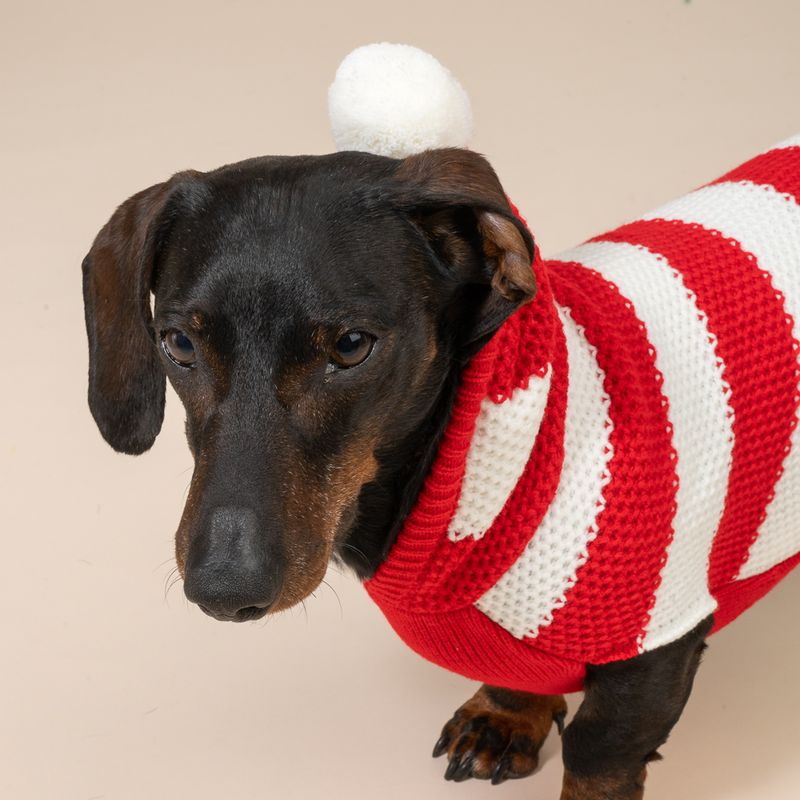 TIAKI Red Striped Jumper for Dogs Size M: approx. 30.5cm Back Length