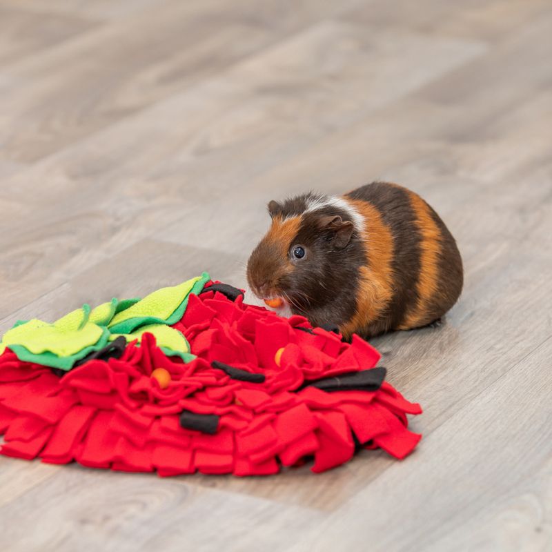 Trixie Strawberry Sniffer Rug 40 x 33cm (L x W)