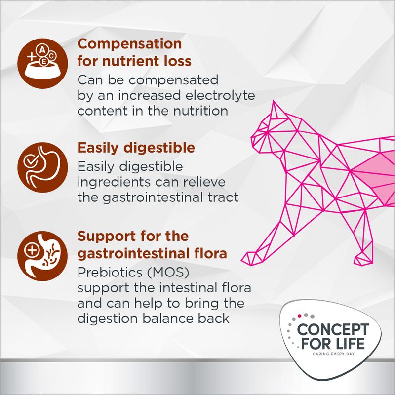 Concept for Life Veterinary Diet Gastrointestinal 6 x 200g