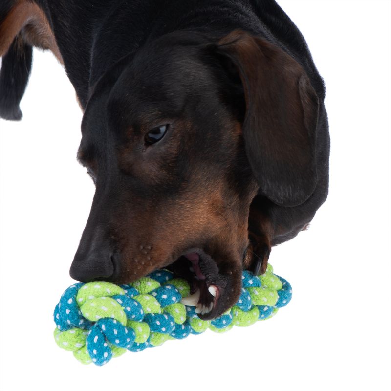 Dog toy Limoen Stick approx. diameter 4 x L 20 cm