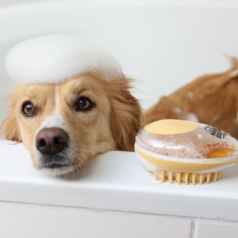 Kerbl MagicBrush Bath Brush 11.5 x 7.5 x 6cm (L x W x H)