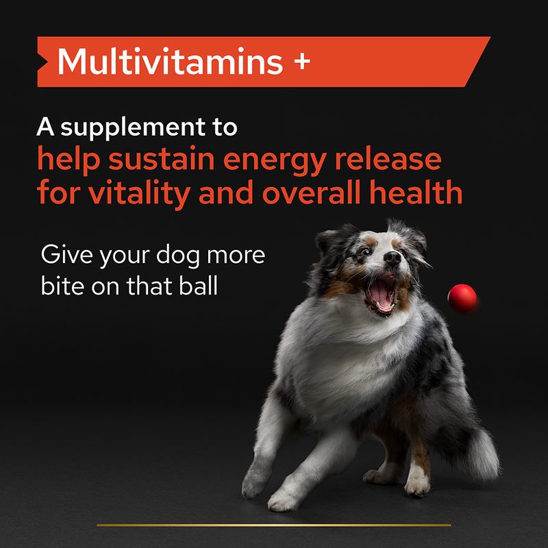 PRO PLAN Dog Multivitamins Supplement Tablet 67g (45 Tablets)