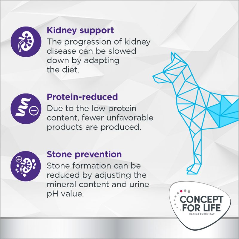 Concept for Life Veterinary Diet Renal 6 x 400g