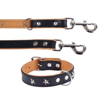 Heim Leather Lead & Collar Set - Stars Set 1