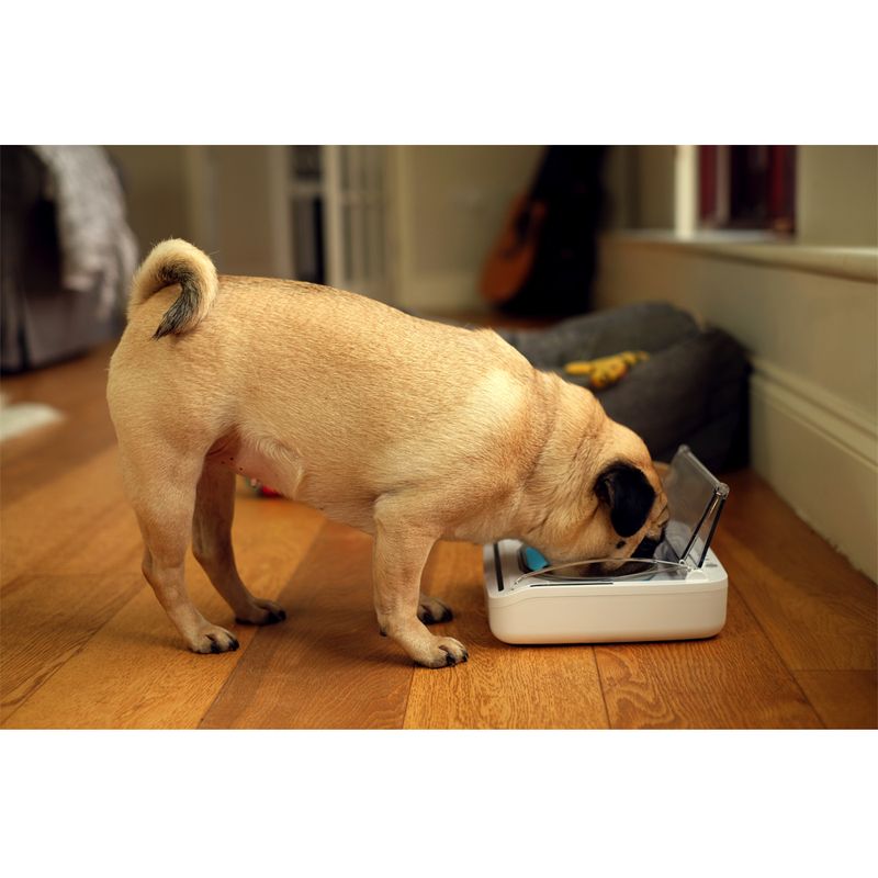 SureFeed Sealed Pet Bowl Airtight Food Bowl 400ml