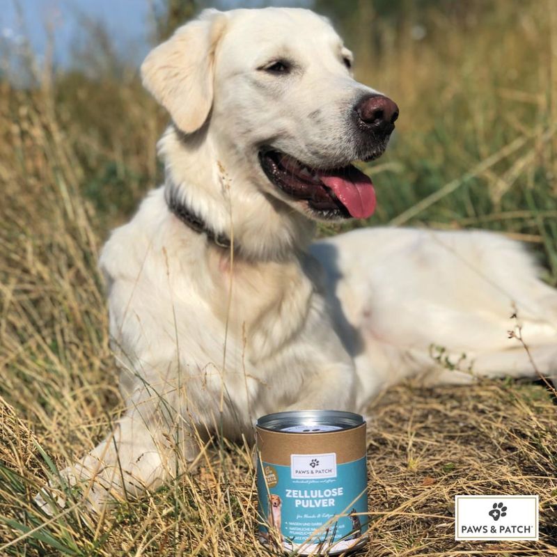 PAWS & PATCH Cellulose Powder 150g