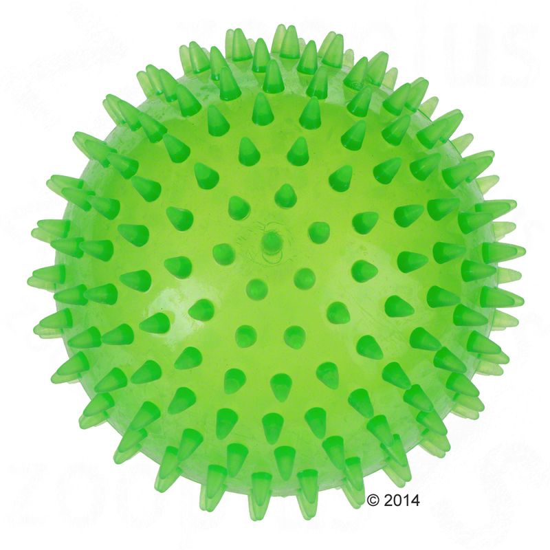 Large Spiky Ball Dog Toy Diameter 12cm