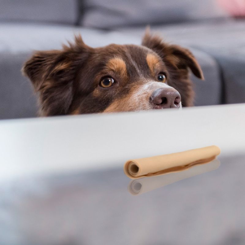 SmartSticks Wrapped Chew Sticks with Chicken 10 Sticks