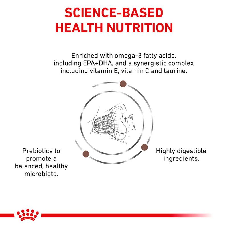 Royal Canin Expert Feline Gastrointestinal Fibre Response 2kg