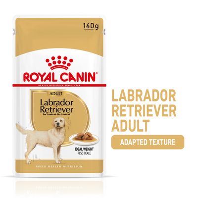 Royal Canin Labrador Retriever Adult in Gravy 10 x 140g