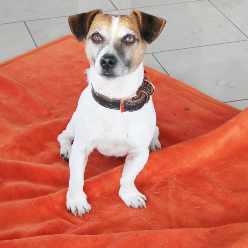 Heim Hygienic Blanket Grey: 140 x 100cm (L x W)