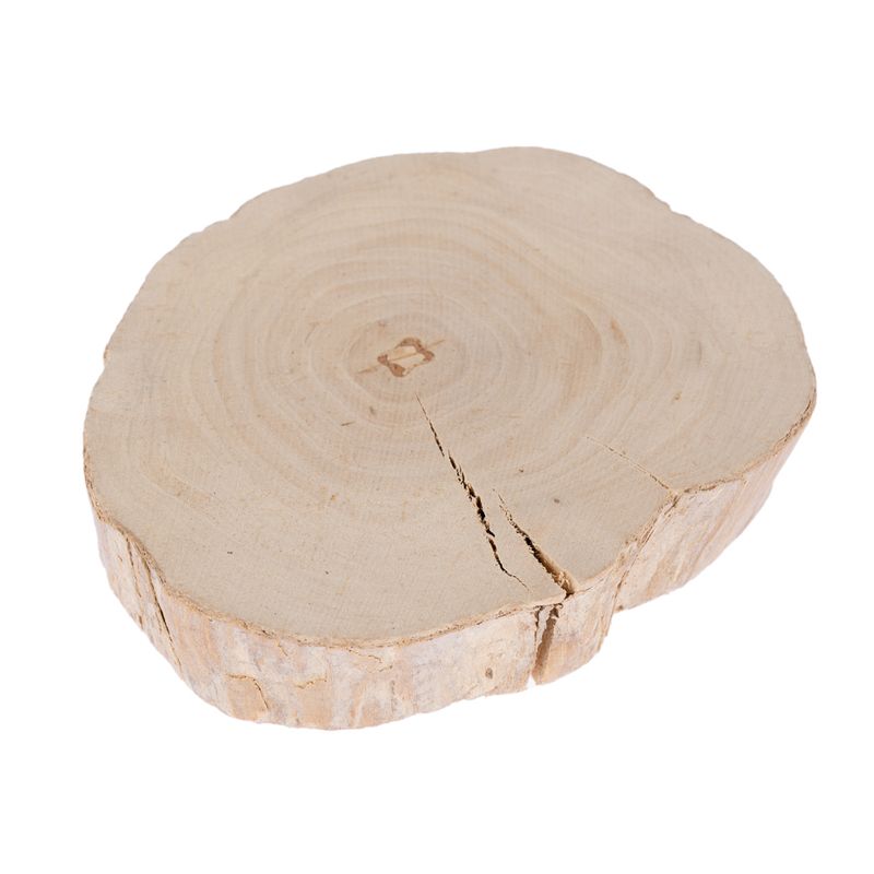 TIAKI Coffee Wood Nibble Discs Set of 4 6-10cm (W)
