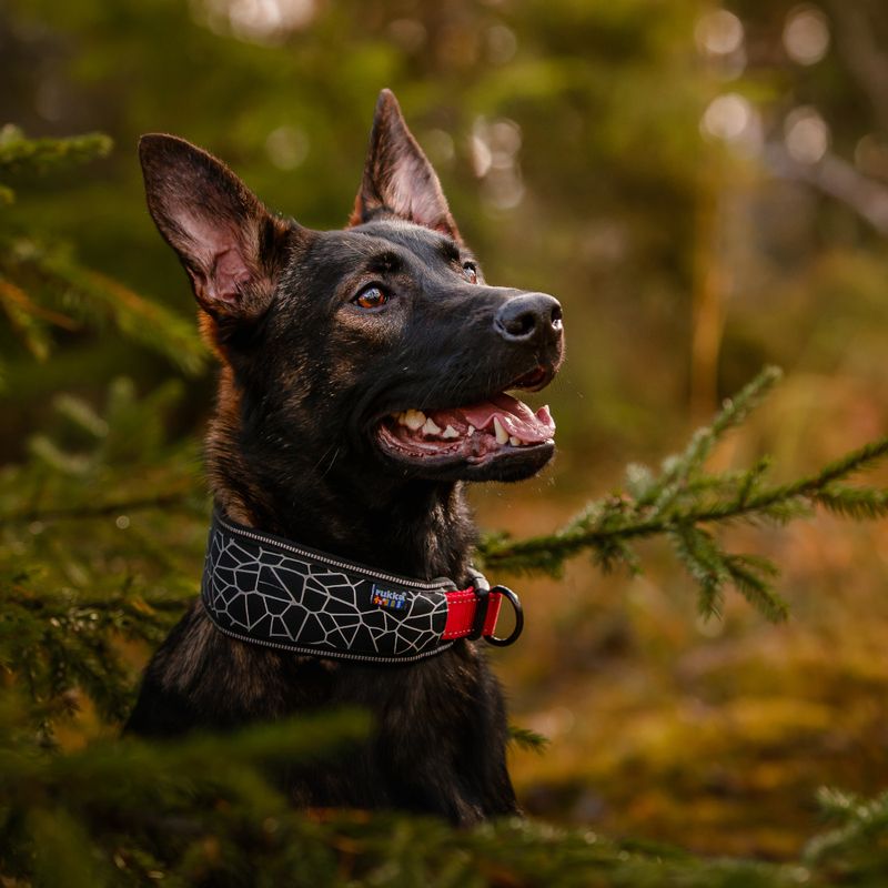 Rukka® Cube Soft collar, red / black Size S: 30-40 cm neck circumference, W 20 mm
