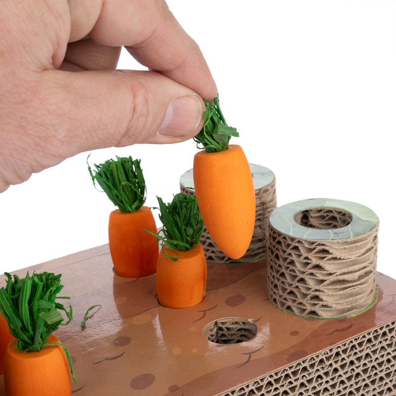TIAKI Carrot Field Intelligence Toy 24 x 14 x 6cm (L x W x H)