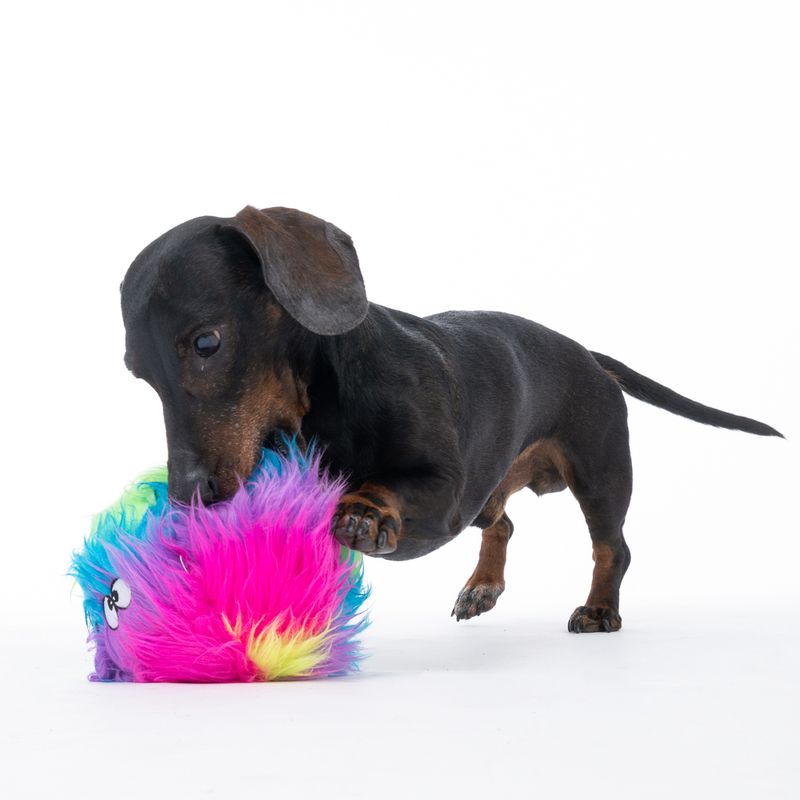 TIAKI Rainbow Squeaky Ball Dog Toy diameter 15cm