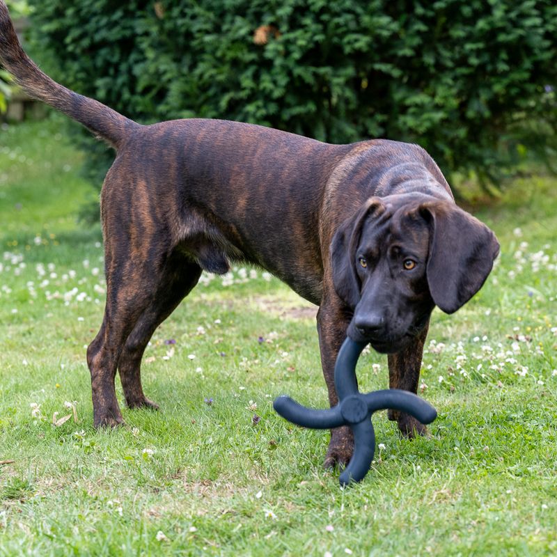 Nomad Tales Bloom Ultra-strong Fetch Toy L x W x H) 24 x 24 x H 3 cm