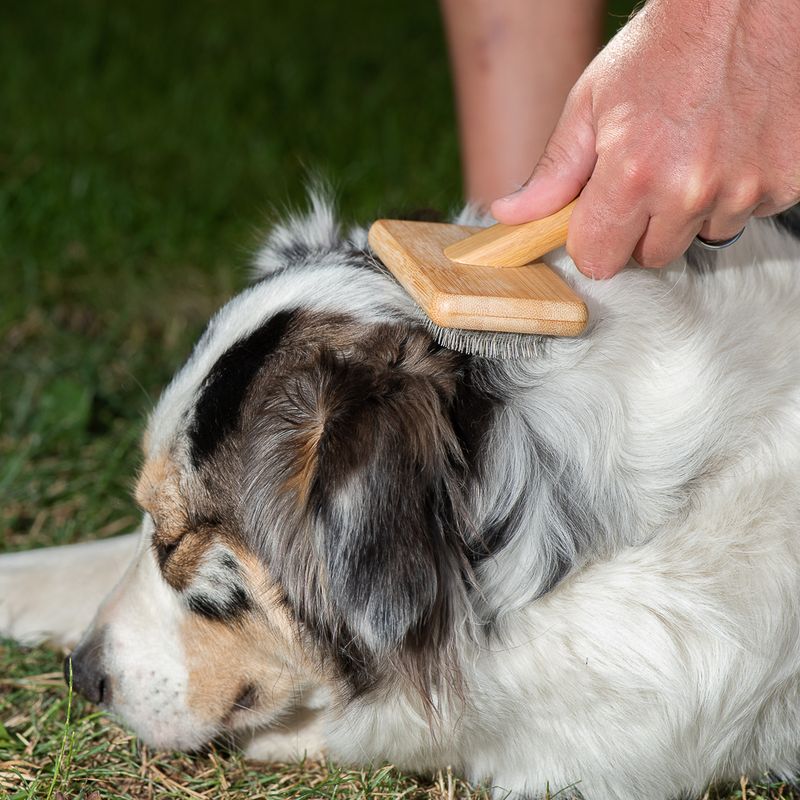 kooa Bamboo Slicker Brush 15.5 x 12.2cm (L x W)