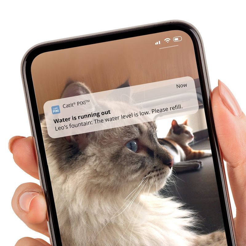 Catit Pixi Smart Drinking Fountain Drinking Fountain - 2 Litres