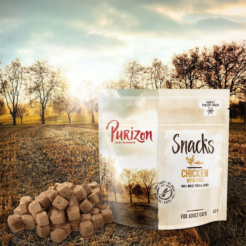 Purizon Cat Snacks Grain-Free Saver Pack 3 x 40g Mix