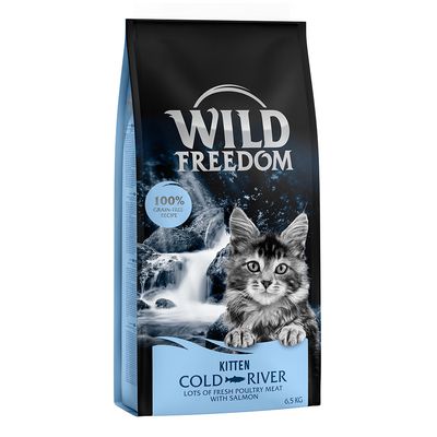 Wild Freedom Kitten \