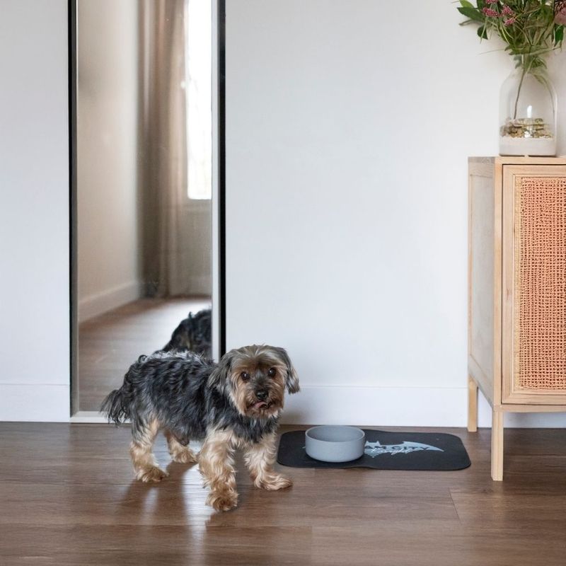 DC Batman Gotham City Dog Placemat 45 x 30cm (L x W)