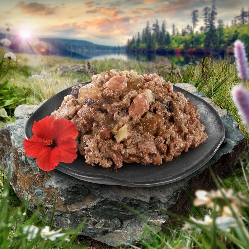 1 x 400g Purizon Single Meat Beef Wet Dog Food - Try Now!* Beef with Hibiscus Blossoms (400g)