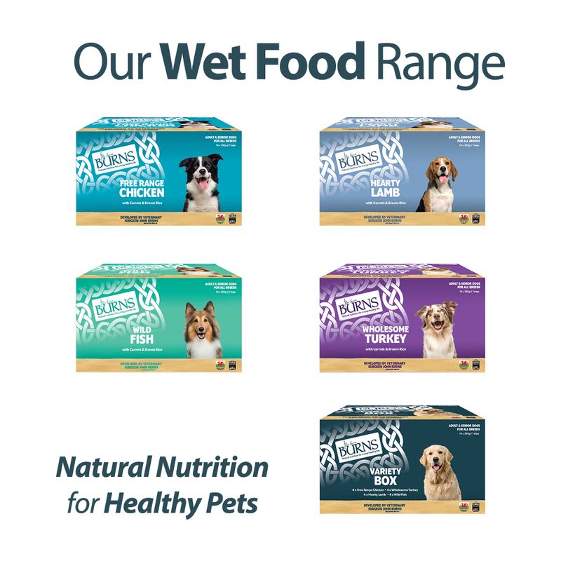 Burns Wet Food for Dogs 16 x 395g Chicken
