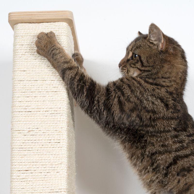 Natural Paradise Dahlia Scratching Post Natural