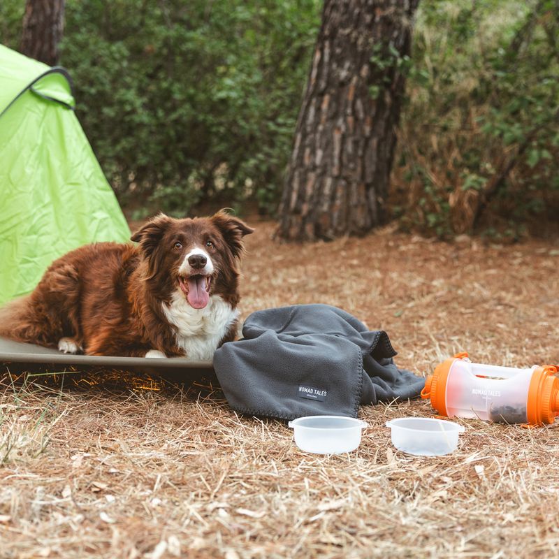 Nomad Tales Spirit Travel Feeding Station 2 x 500ml