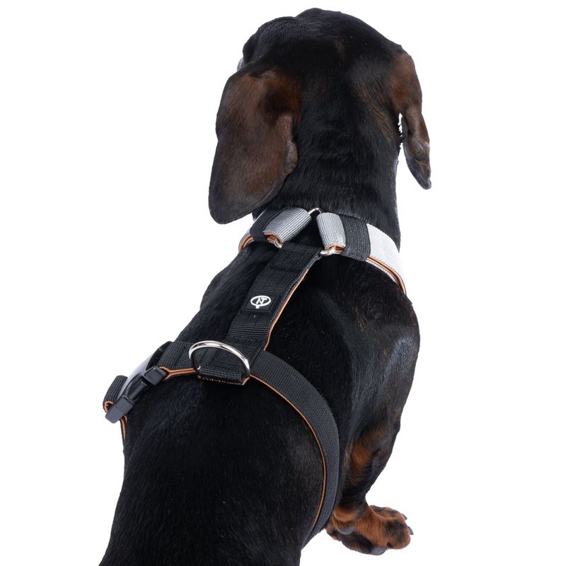 Nomad Tales Spirit Multi-Ring Harness Size S: approx. 40 - 58 cm Chest Circumference