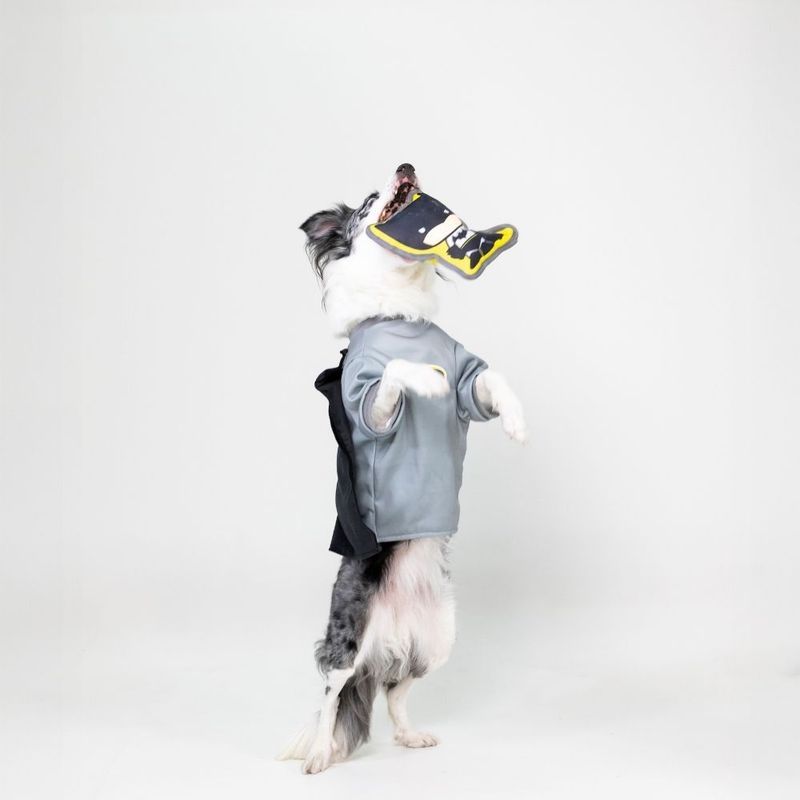 Warner Bros™ DC Batman Dog Toy 20 x 20 x 6 cm (L x W x H)