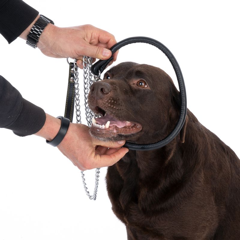 TIAKI Chain Dog Collar approx. 45cm Neck Circumference