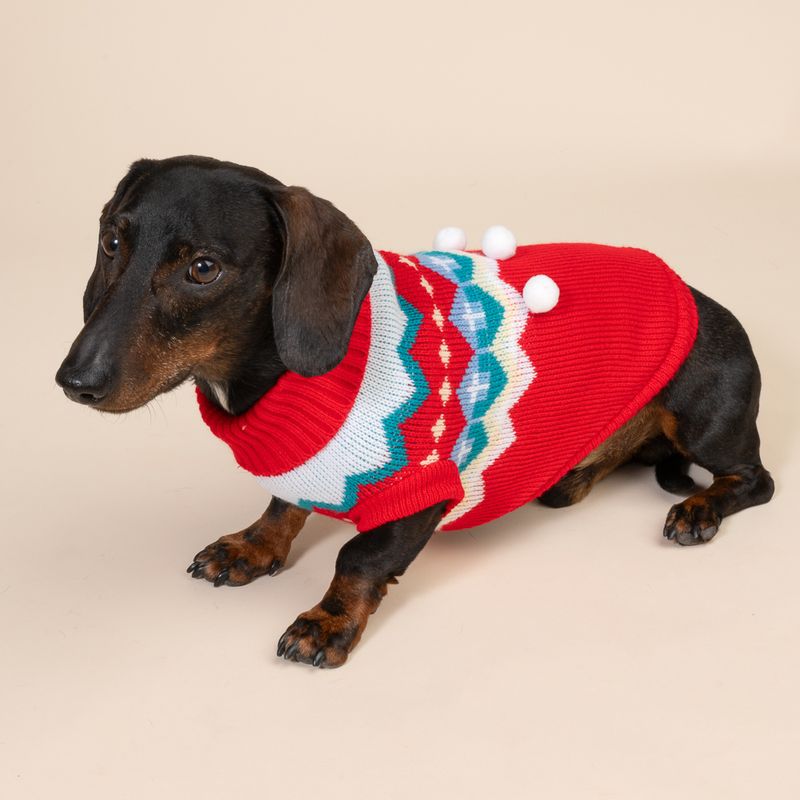 TIAKI Winter Dog Jumper Size M: approx. 30.5cm Back Length