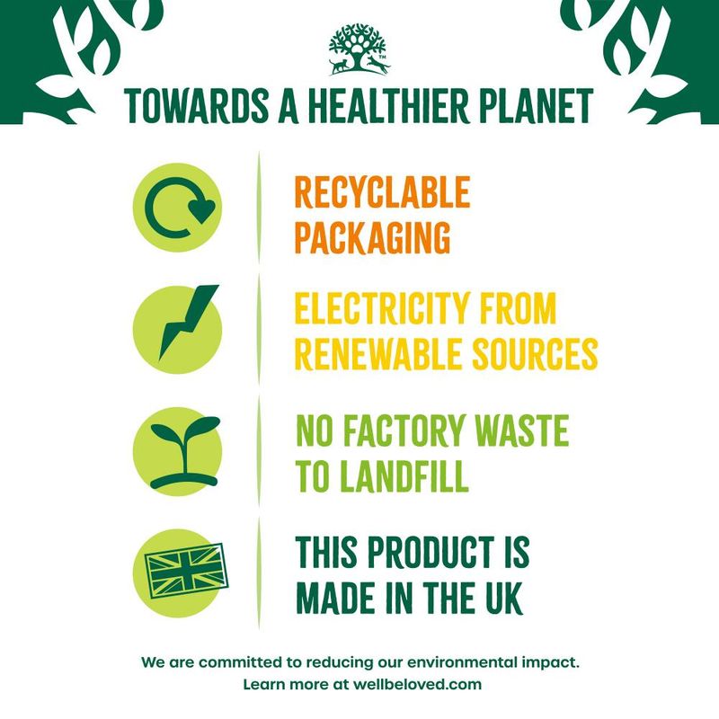 James Wellbeloved Adult Large Breed Hypoallergenic Turkey & Rice 10kg