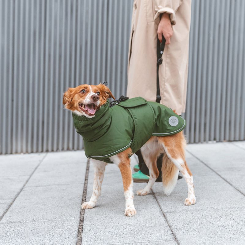 Nomad Tales Bloom Dog Coat - Classic approx. 40cm Back Length