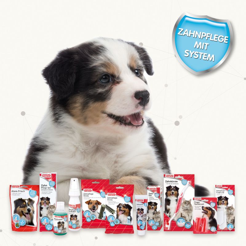 Beaphar dental hygiene set for puppies 1 piece