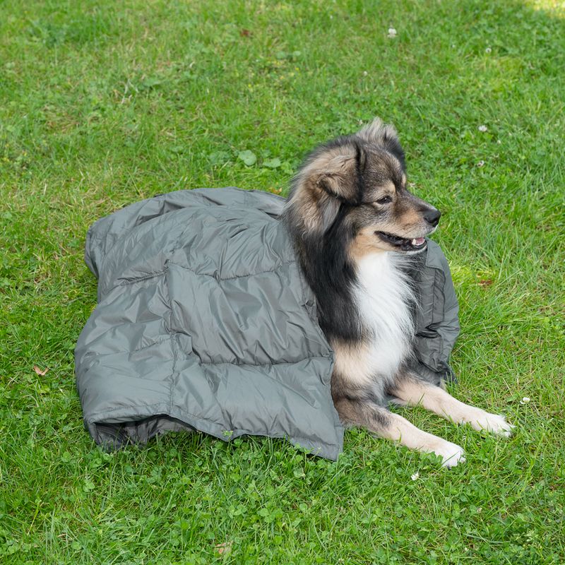 Nomad Tales Spirit Scallion Outdoor Dog Mat 137 x 80 cm (L x W)