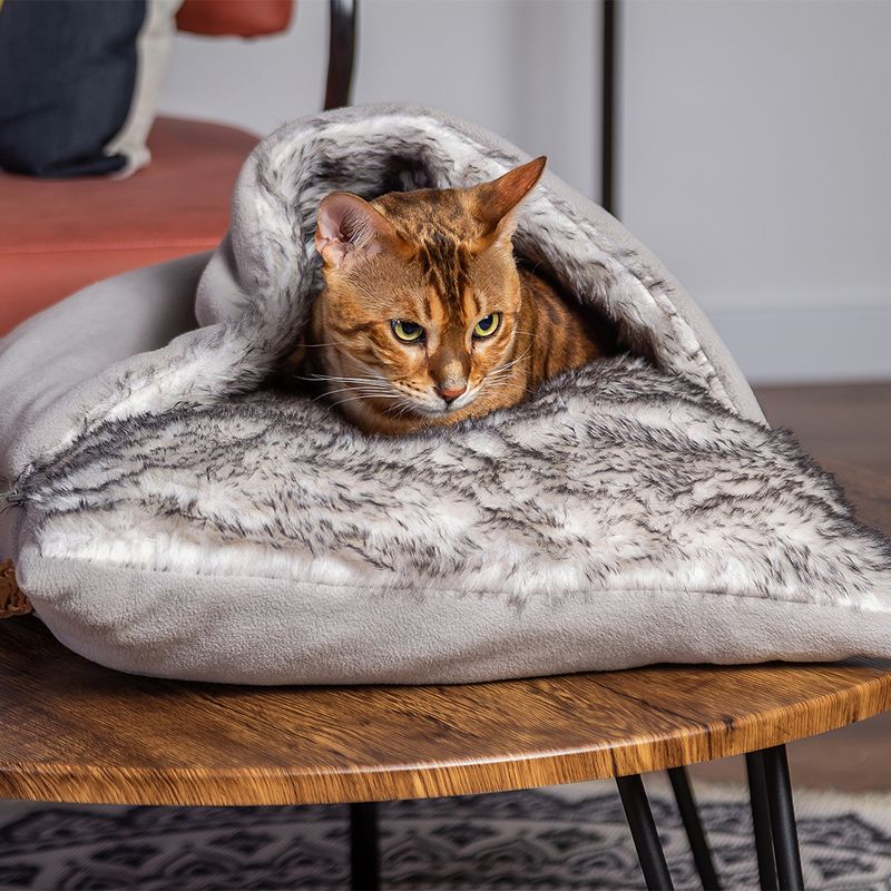 Modern Living Nairobi Cuddly Cushion 65 x 45 x 15cm (L x W x H)