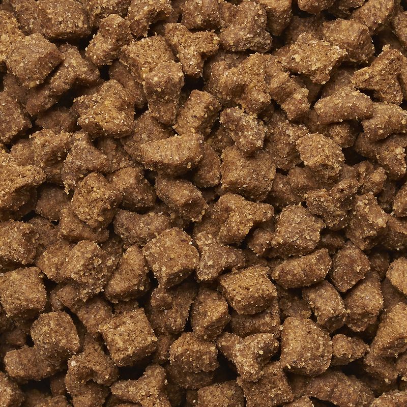 IAMS Pro Active Health Adult Multi-Cat Household 15kg