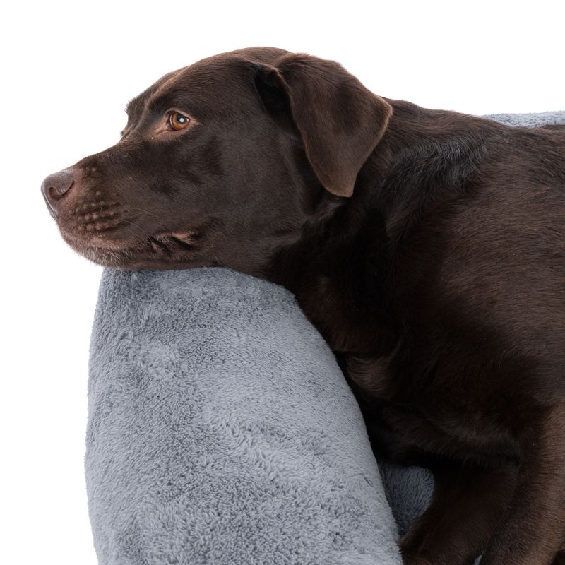 TIAKI Lazy Bear Dog Bed – Dark Grey Size M: 70 x 55 x 20cm (L x W x H)