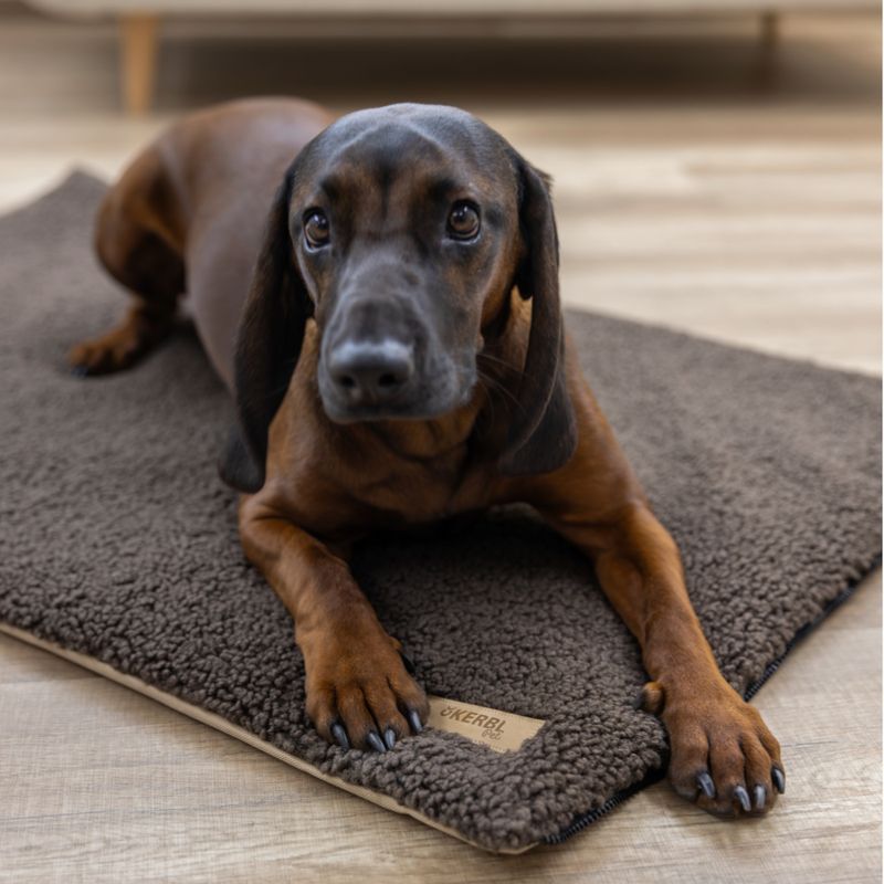 Kerbl Pet Multifunctional Mattress Approx. 72 x 50 x 5cm (L x W x H)