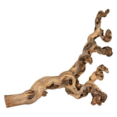 Trixie Sand-Blasted Branch 40 - 60 cm