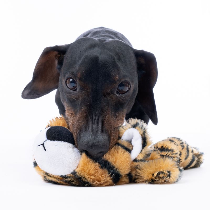 TIAKI Flat Crinkle Tiger Plush Toy 25 x 15 x 7 cm (L x W x H)