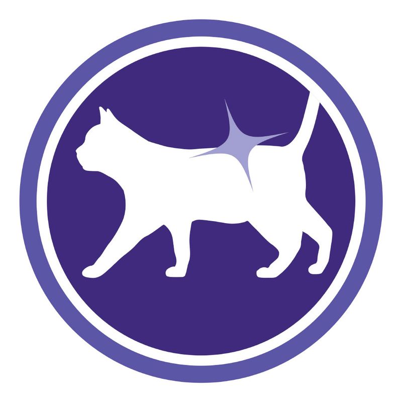 PURINA ONE Sensitive Salmon 1,5 kg