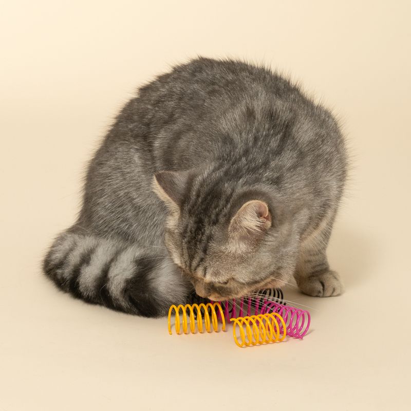 TIAKI Halloween Spiral Set 6-Pack