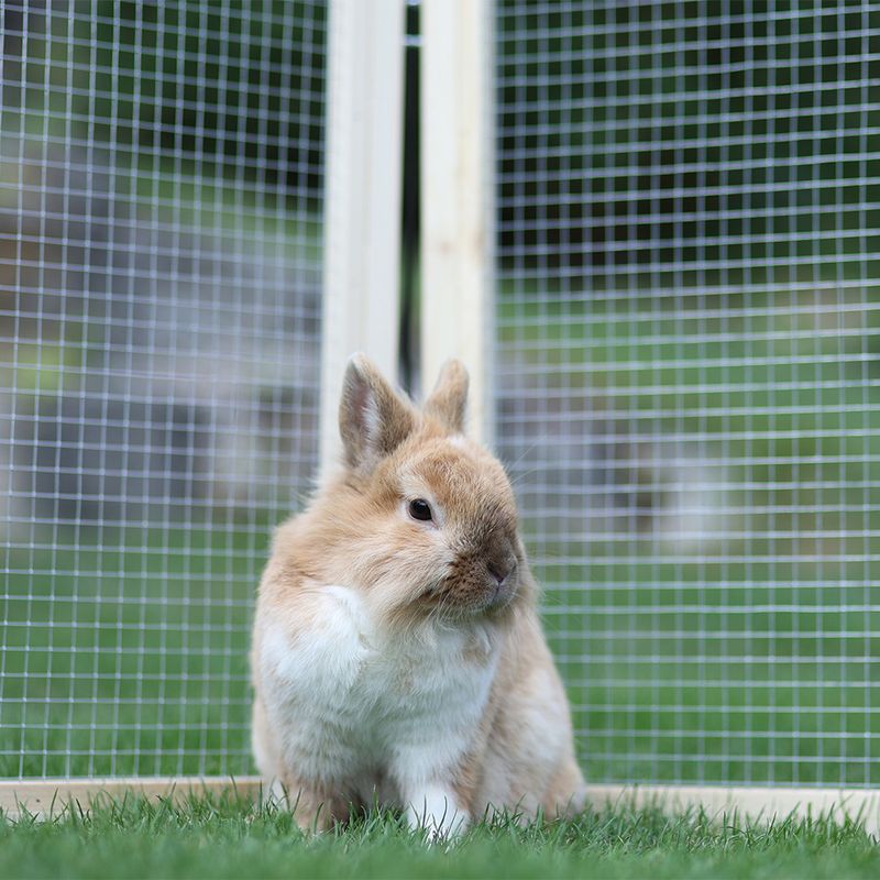 Kerbl Pet VARIO Outdoor Enclosure with Mesh 120 x 120 x 59cm (L x W x H), 6 elements